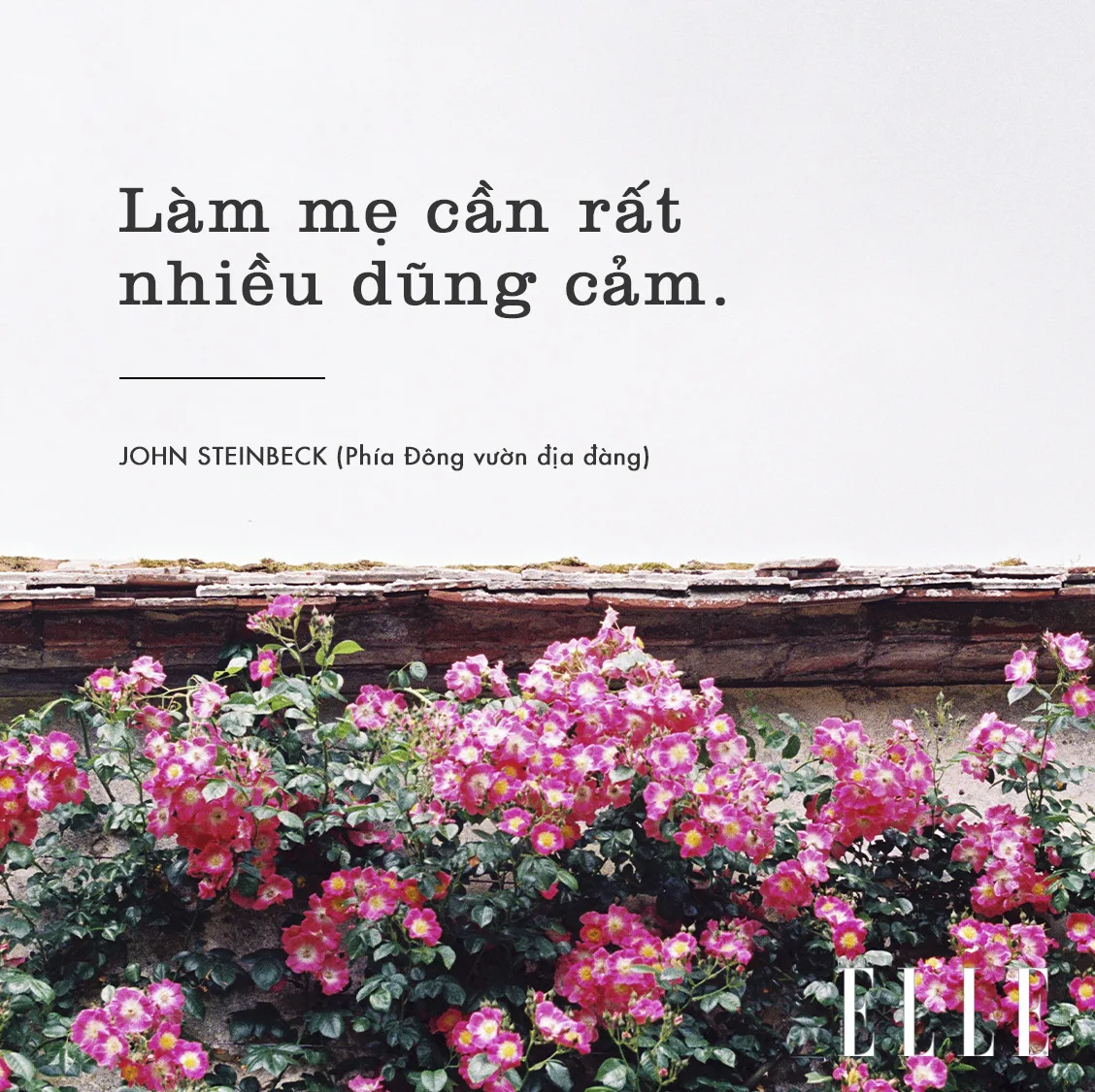 câu nói hay về mẹ trong ngày của mẹ 2