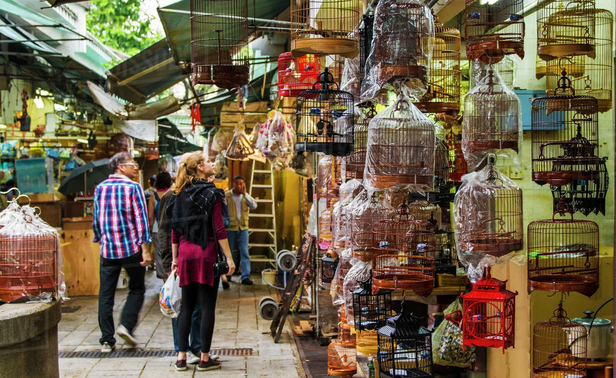 chợ chim Yuen Po du lịch Hồng Kông