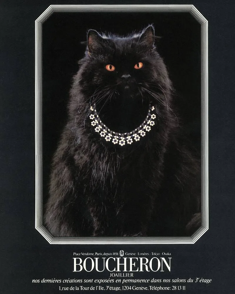 Boucheron