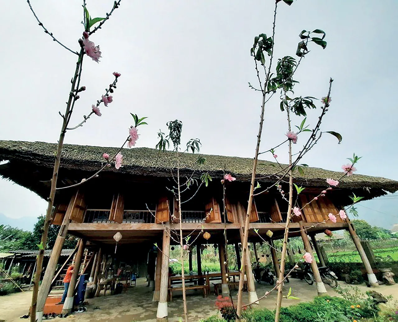 trang trại khu vực nhà ở xôi farmstay