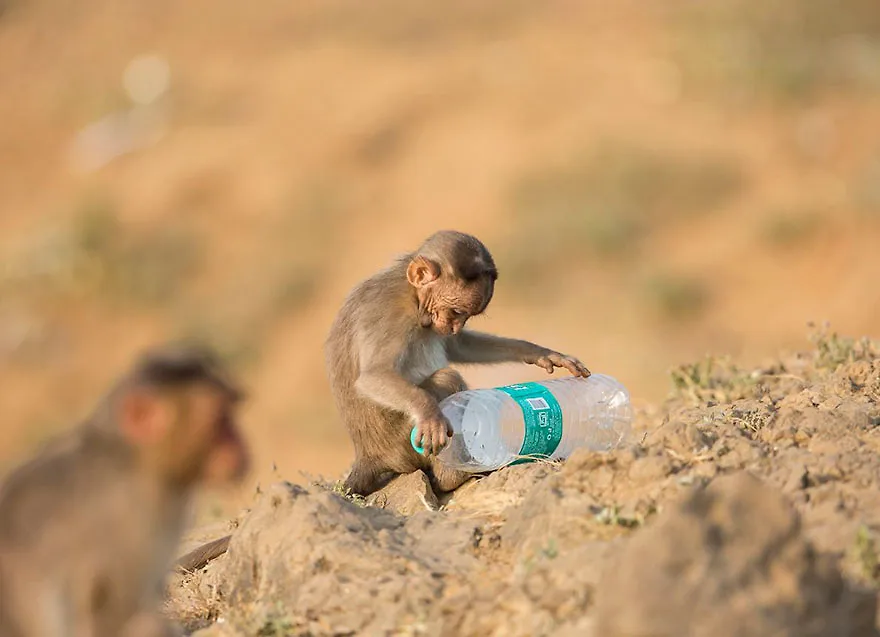 Hạn chế chất thải nhựa 9