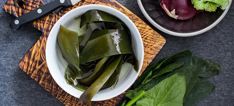 dĩa đựng tảo biển tự nhiên tác dụng của tảo biển
