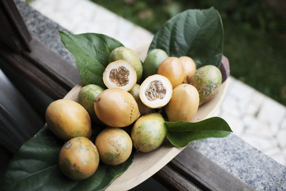 dầu dưỡng maracuja 3