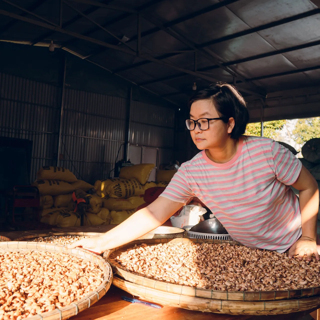 nông nghiệp cung ứng bền vững nông nghiệp cung ứng bền vững