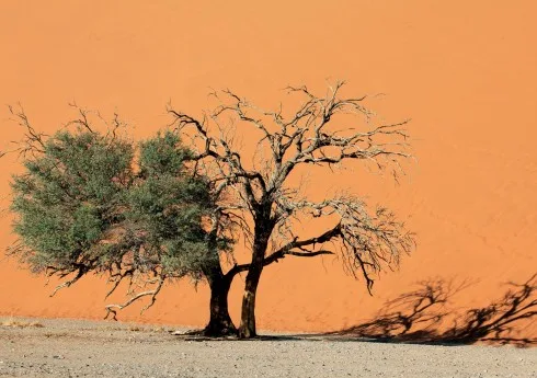 Du lich Namibia tieng goi noi hoang da 1