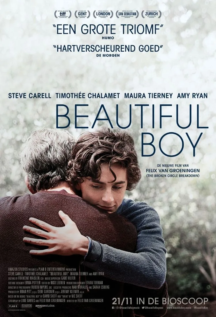 poster phim beautiful boy