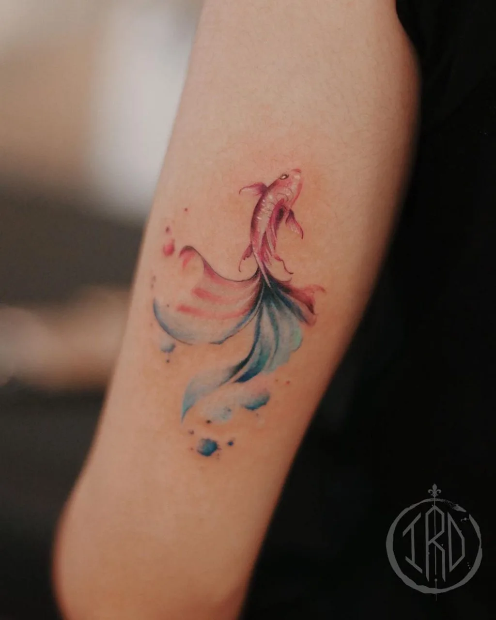 tài khoản; instagram; hình xăm tài khoản; instagram; hình xăm