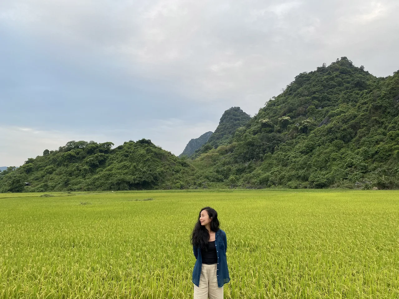 hành trình của btv hương tôn hành trình của btv hương tôn