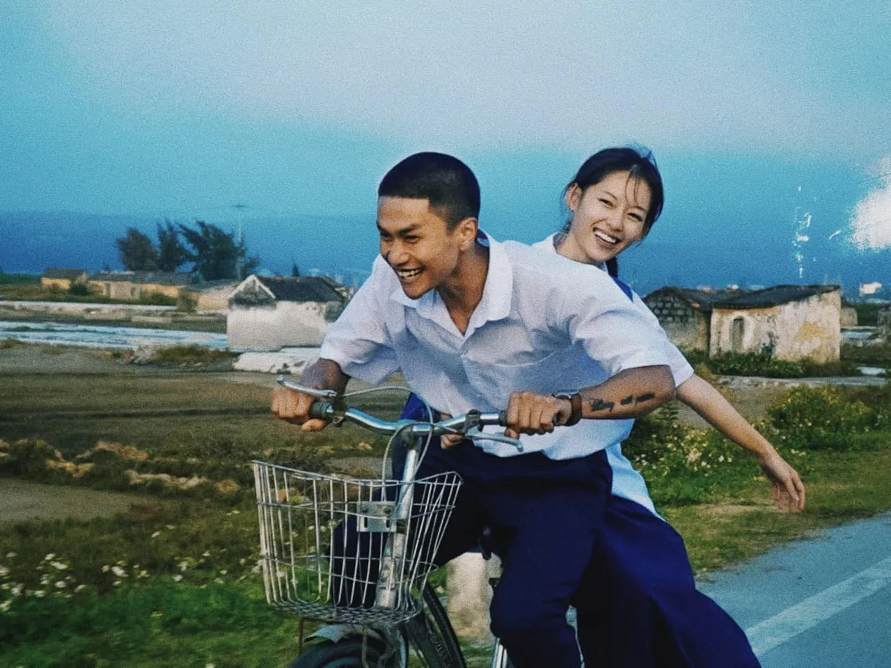 Phim Đàn Cá Gỗ