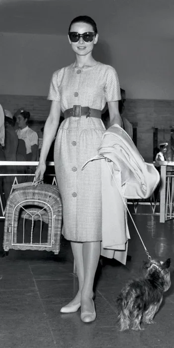 audrey 5