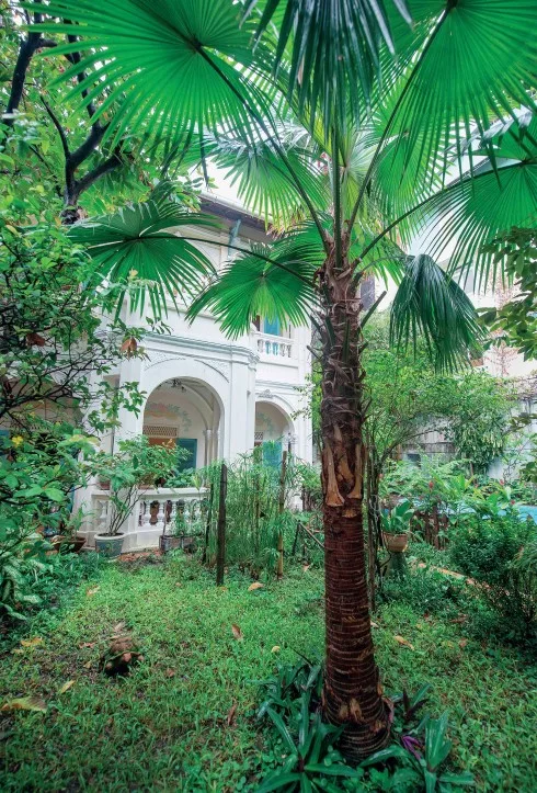 Một góc khu vườn