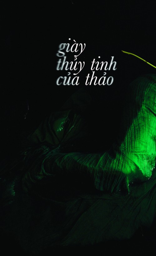 100+102 nguyenthao