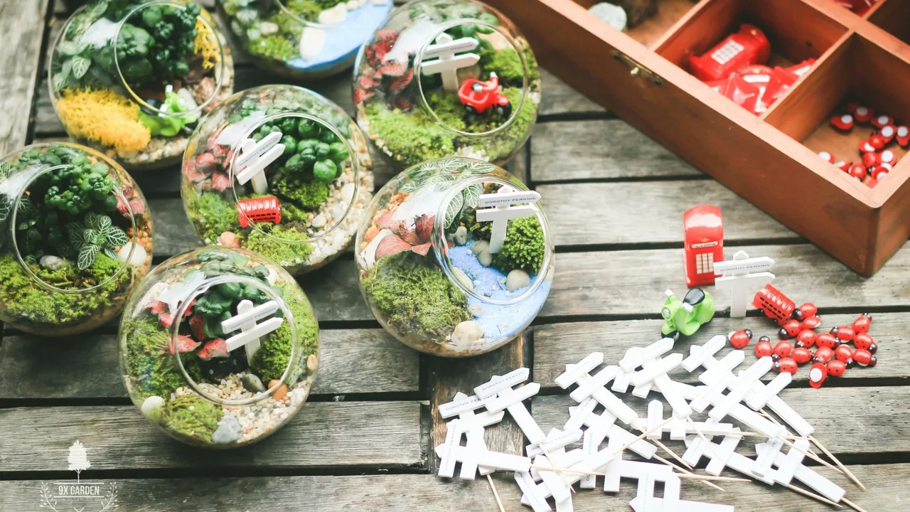 Hoạt động Tự tay làm Terranium ở 9X Garden