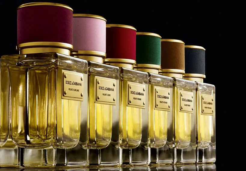 Dolce & Gabbana Dolce & Gabbana