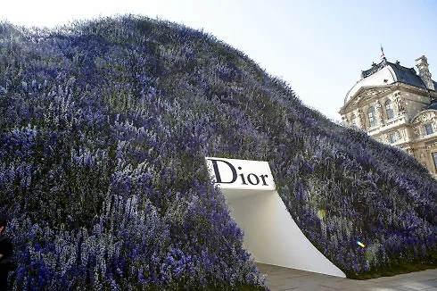 Một đồi hoa phi yến xanh đầy mộng mơ – ngự trị giữa khoảng sân của Carré du Louvre. 