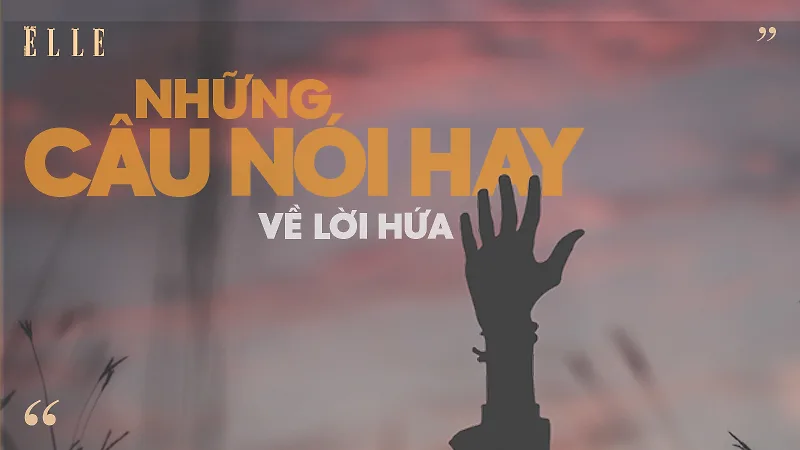 Bài viết liên quan