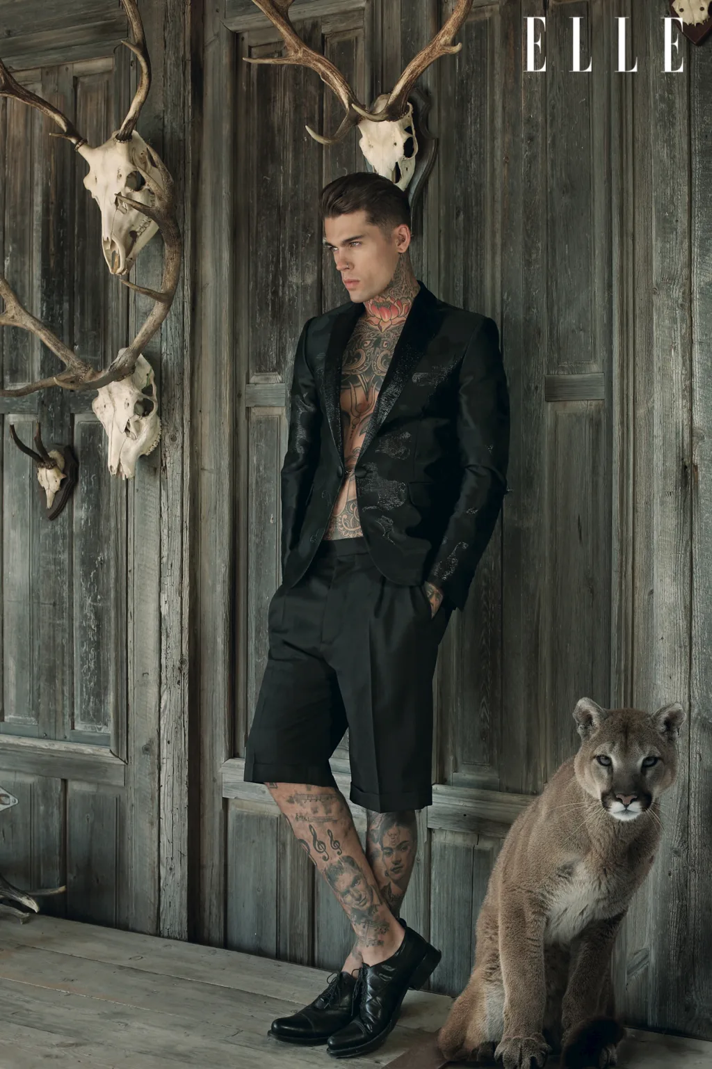 ellevn wild stephen james