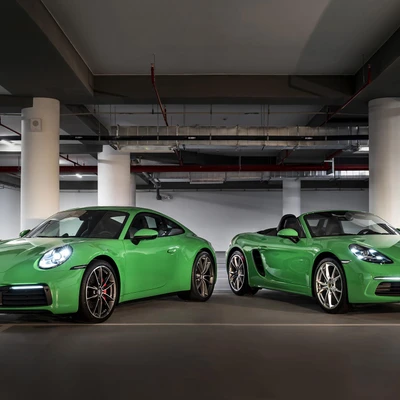porsche python green - elle man 6