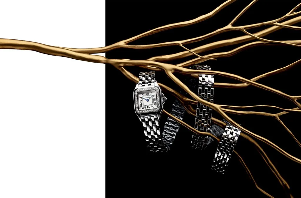 Panthère de Cartier 5 Panthère de Cartier 5