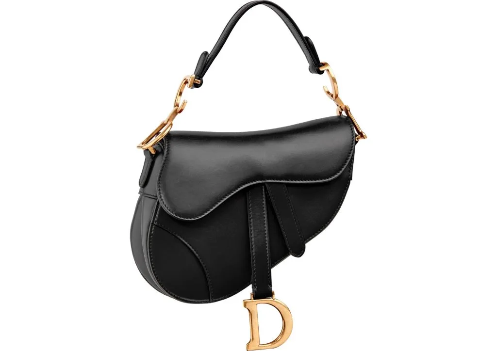 túi yên ngựa Saddle Dior 1