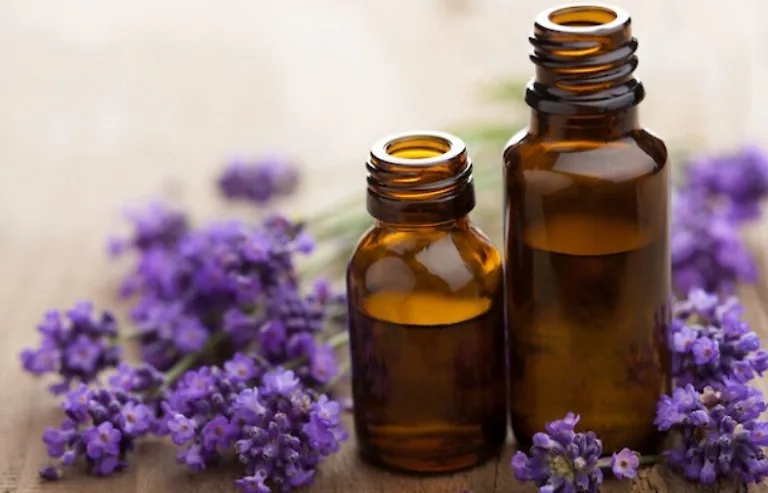 Các loại tinh dầu dưỡng da giúp dưỡng ẩm phù hợp với da chàm Các loại tinh dầu dưỡng da giúp dưỡng ẩm phù hợp với da chàm
