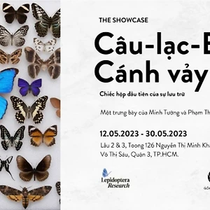 poster câu lạc bộ cánh vảy