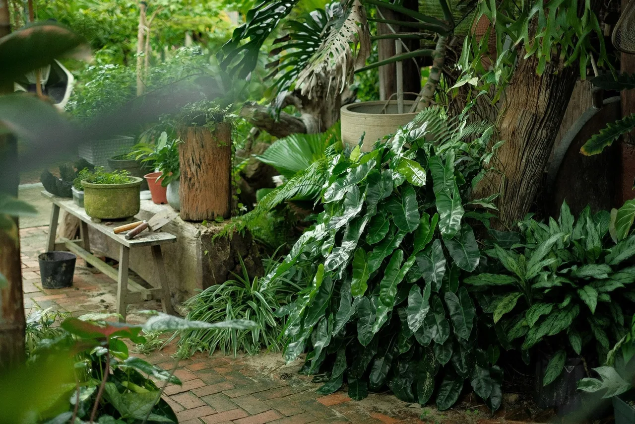 An Nhàn Gallery & Coffee là một không gian văn hóa độc đáo, kết hợp giữa triển lãm nghệ thuật thủ công, cà phê và giao lưu cộng đồng.