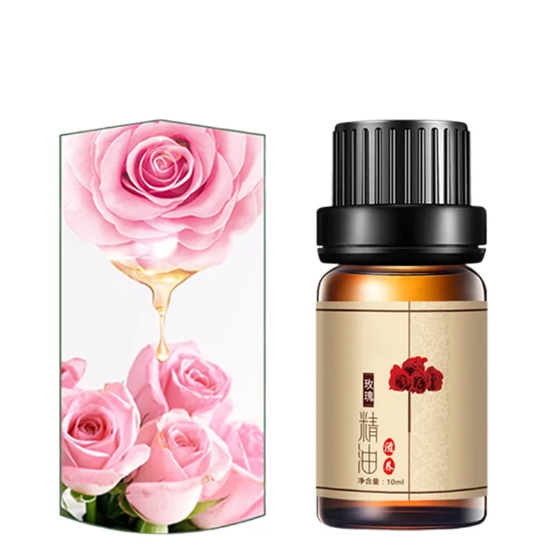 Thiết kế chưa có tên - 2023-10-11T113828.202.png