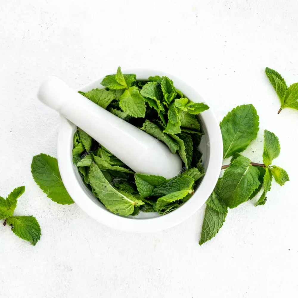 thảo mộc lá bạc hà ở trong cối