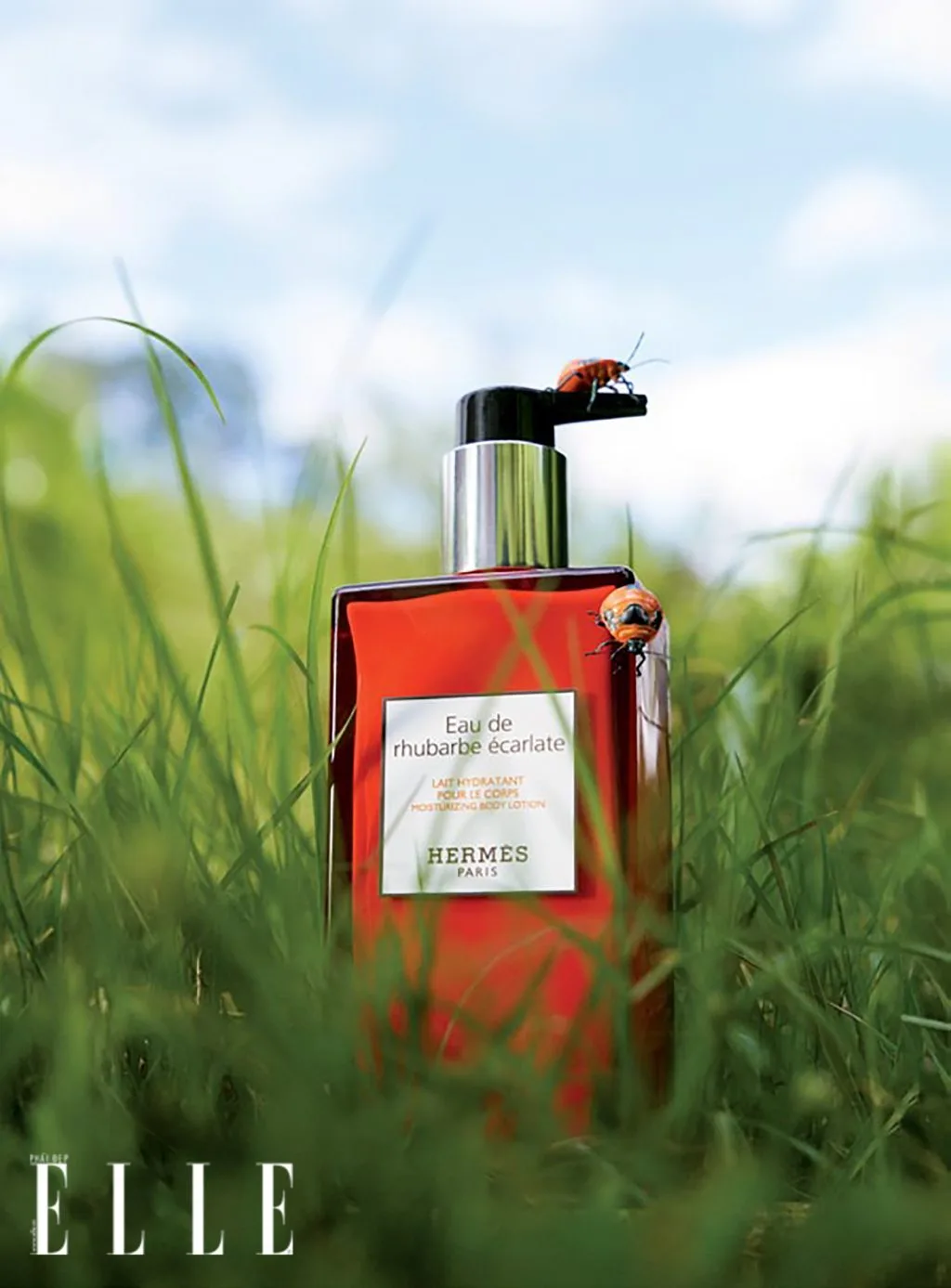 mùi hương hưỡng thể hermers Dưỡng thể Eau de rhubarbe écarlate HERMÈS - mùi hương