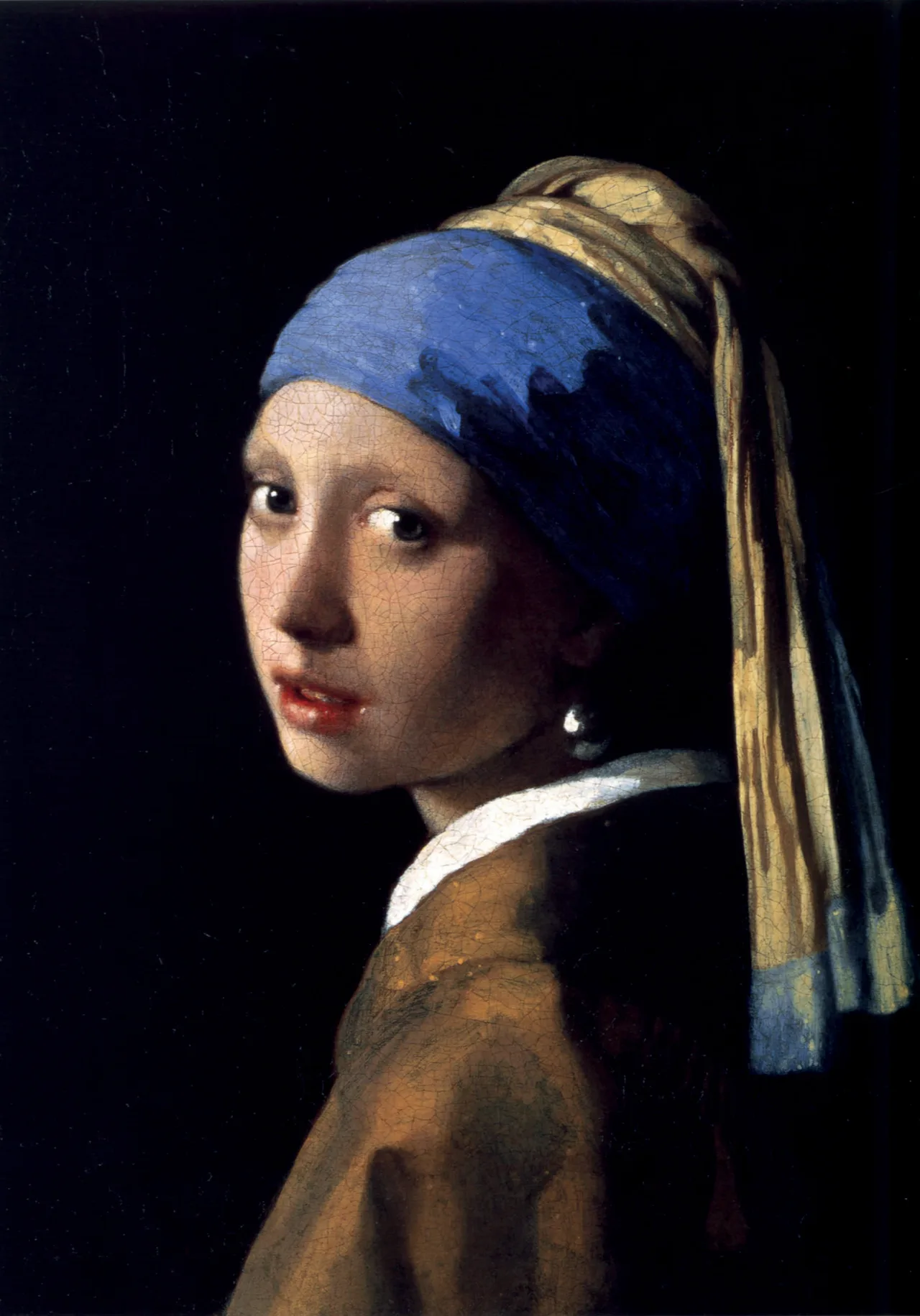 hội họa tác phẩm The Girl with the pearl earring tác phẩm The Girl with the pearl earring