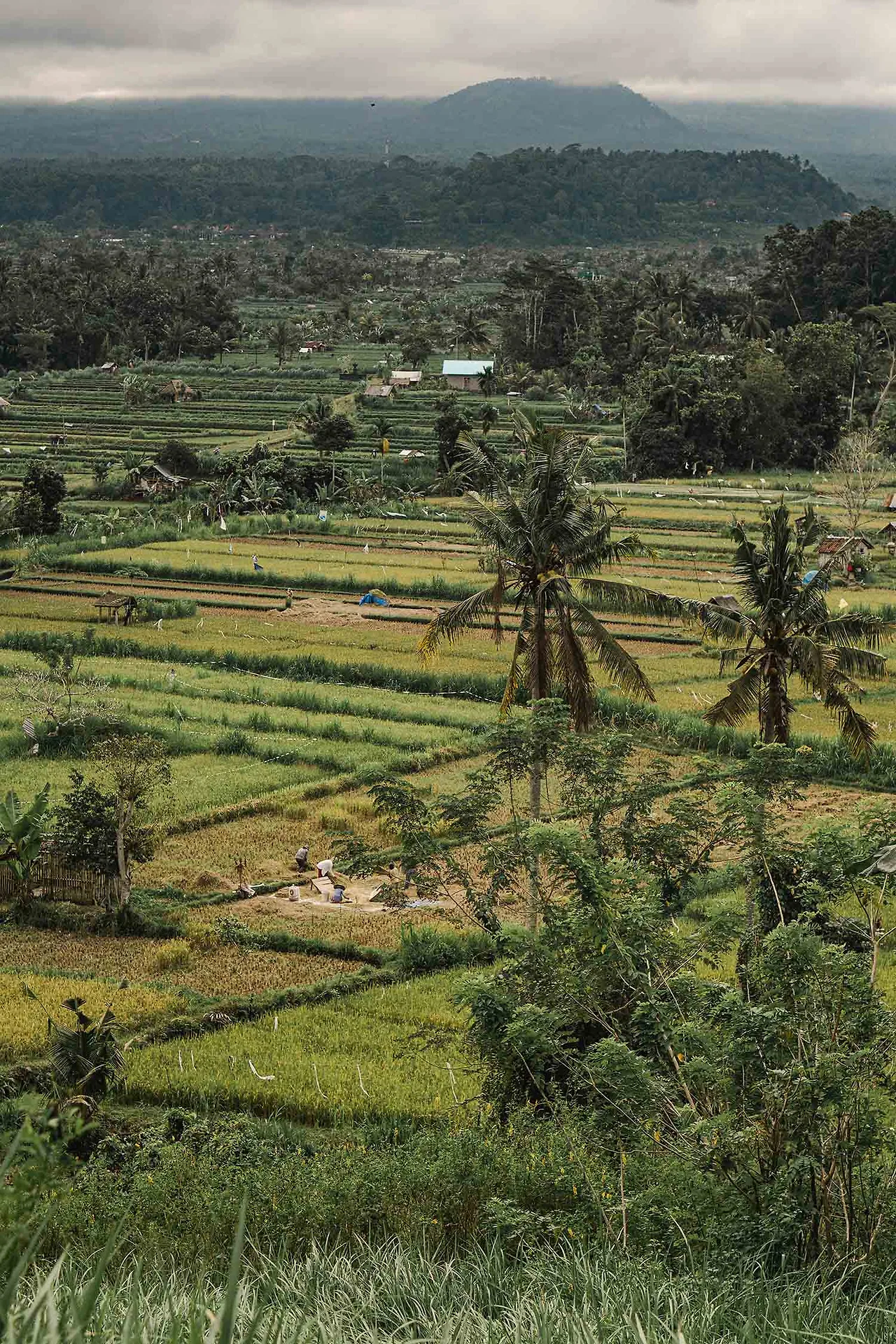 Bukit Cinta Karangasem Bali