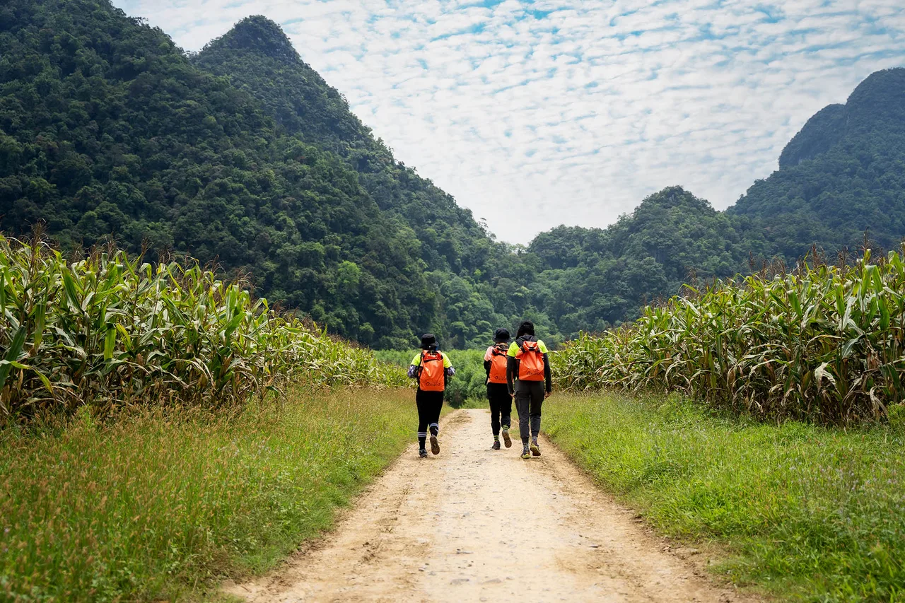 Tú Làn cung đường trekking Tú Làn cung đường trekking