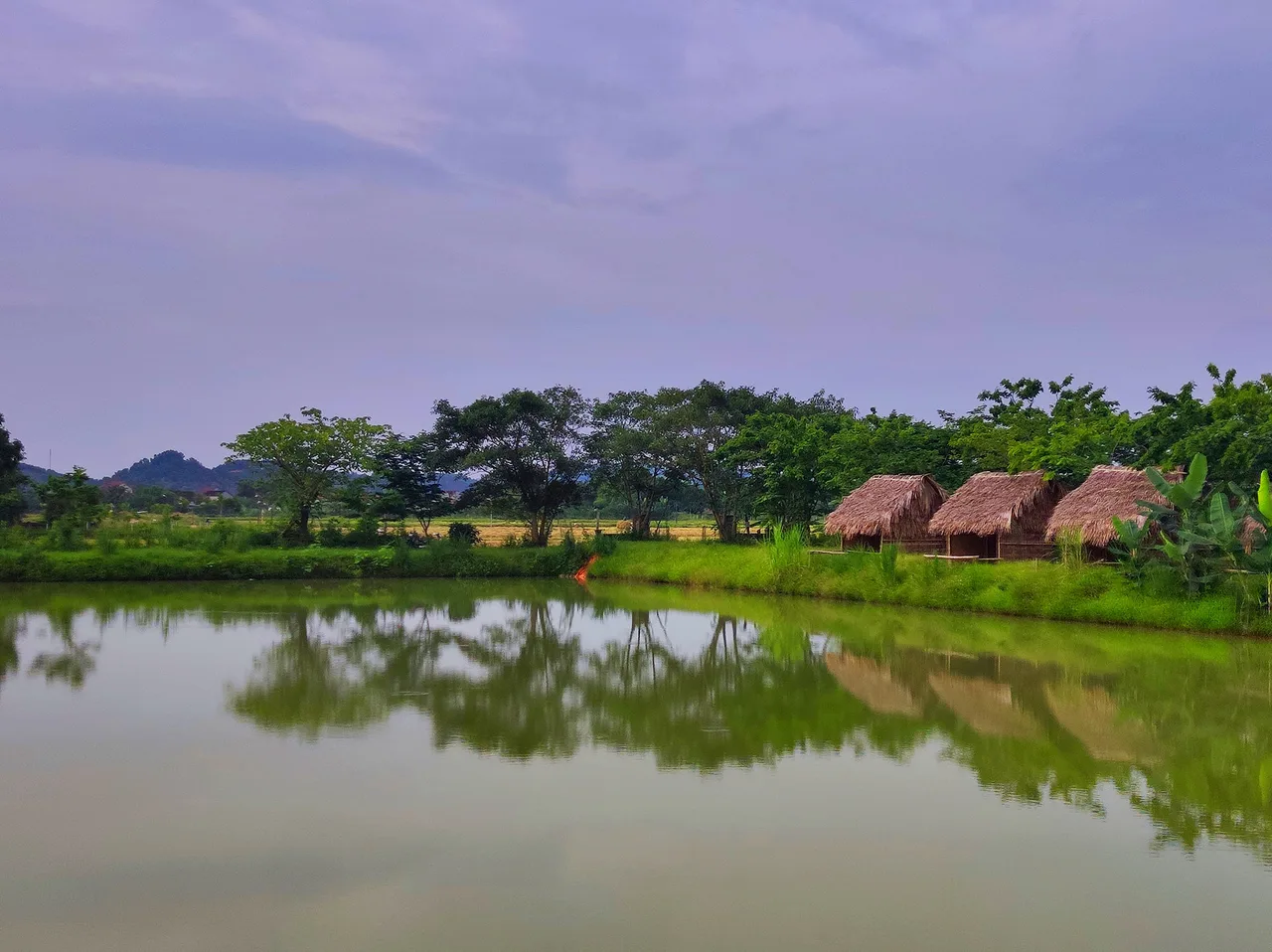 nghệ an hồ câu đồng lúa nghệ an hồ câu đồng lúa