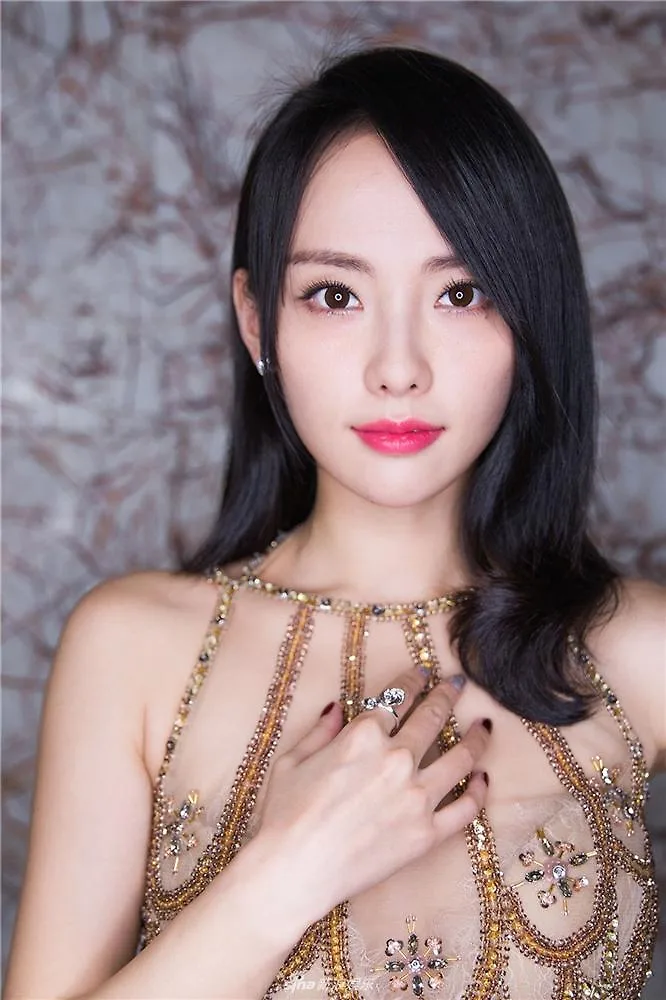 Trương Gia Nghê 2