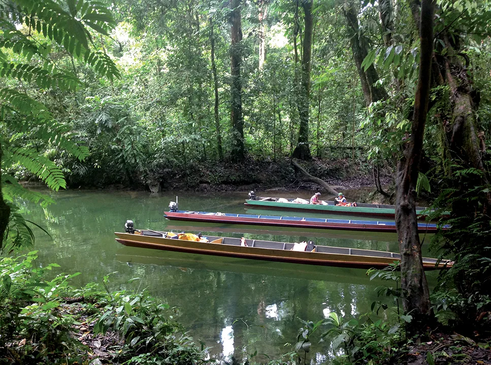 Borneo 6 Borneo 6