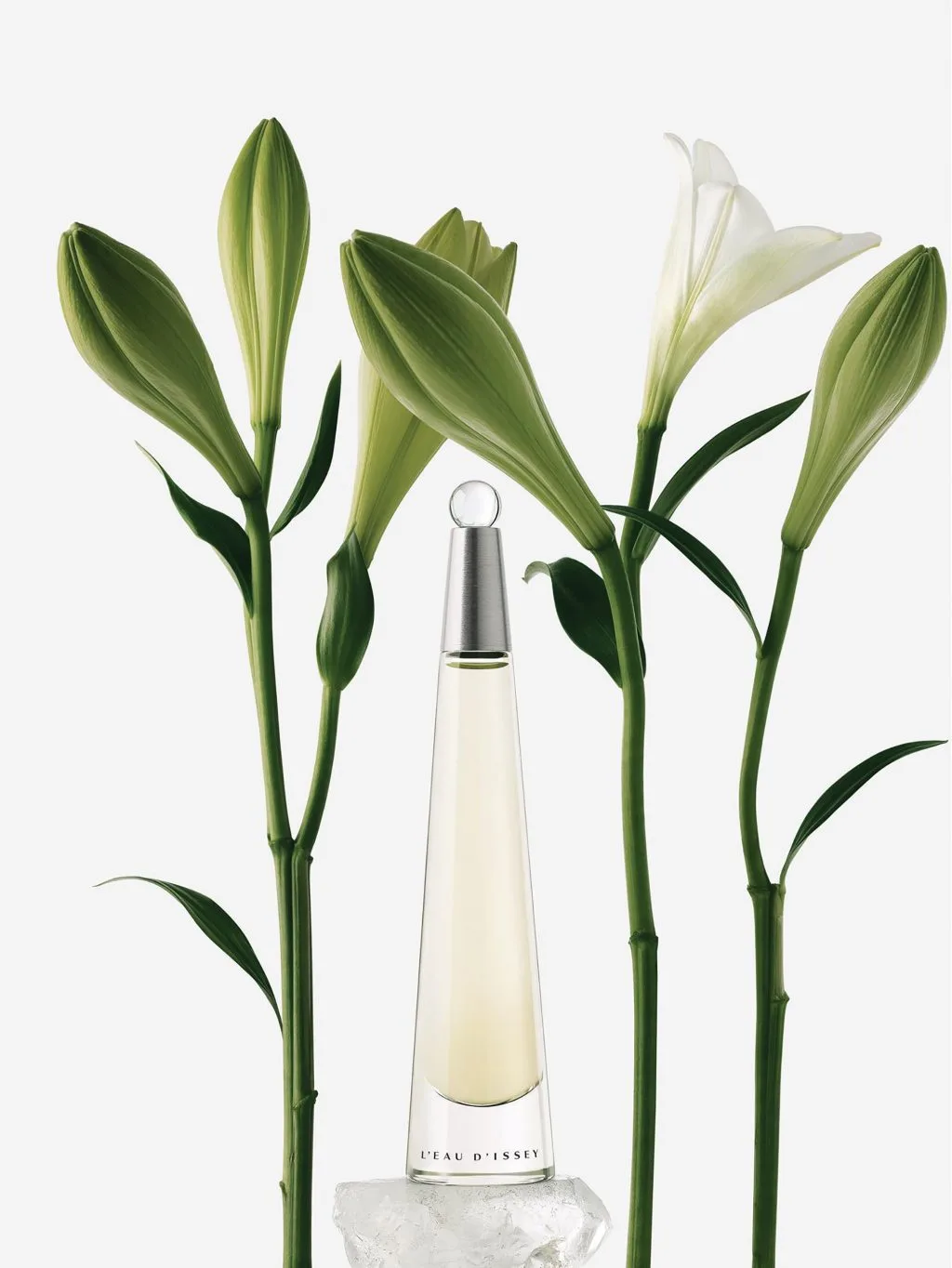 mùi hương nước hoa Issey Miyake mùi hương nước hoa Issey Miyake