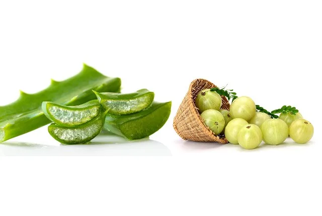 Lô hội, quả lý gai Ấn Độ, bồ kết và bột tử đinh hương