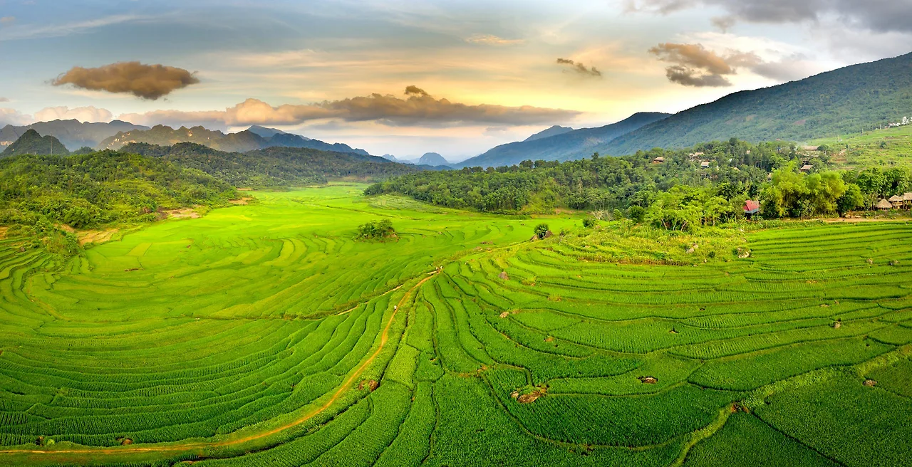 Pù luông ở nơi lưng chừng