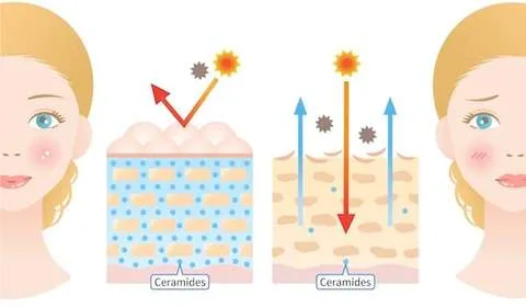 Ceramide là thành phần giúp cải thiện hàng rào bảo vệ da, phục hồi tổn thương và giúp da tránh tình trạng thất thoát độ ẩm. Ceramide là thành phần giúp cải thiện hàng rào bảo vệ da, phục hồi tổn thương và giúp da tránh tình trạng thất thoát độ ẩm.