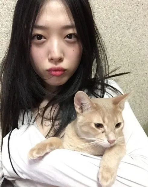 Sulli Sulli