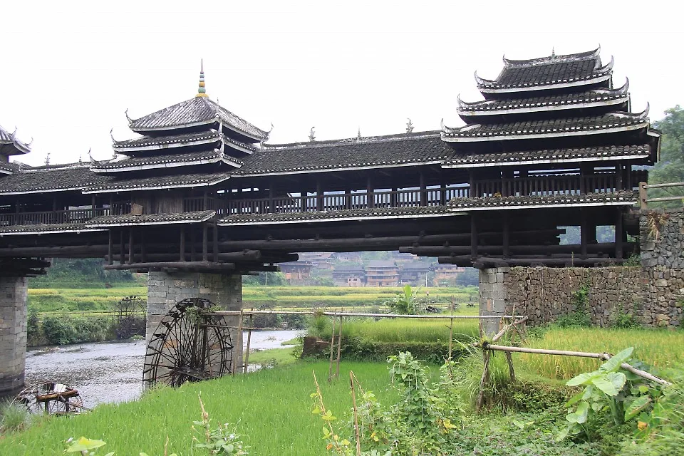 cây cầu 11