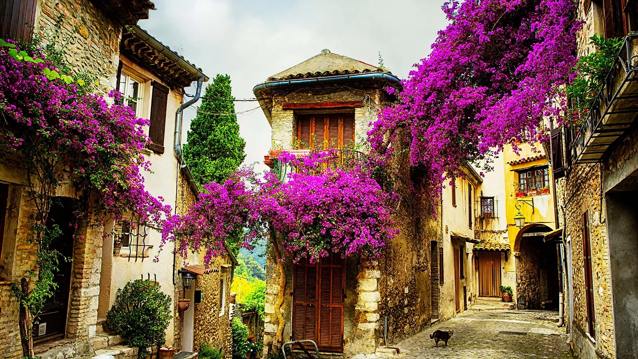 du lịch nghỉ dưỡng Provence Pháp