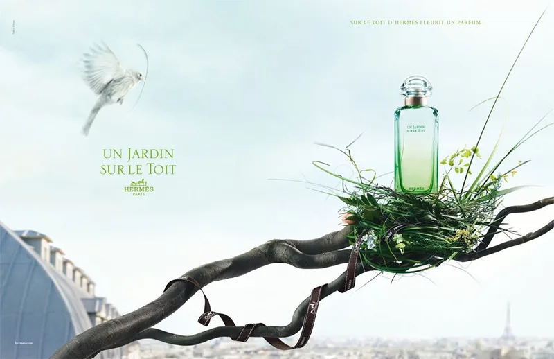Hương nước hoa nam nào cho người đàn ông bạn yêu? Nước hoa Hermès Un Jardin Sur Le Nil