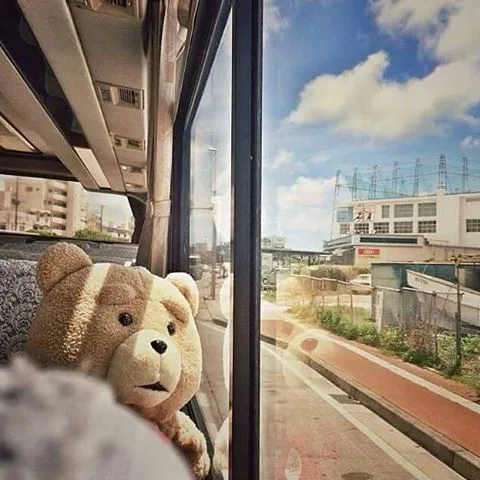 Chú gấu bông cưng giờ đây trở thành một người bạn thân thiết của chủ nhân.