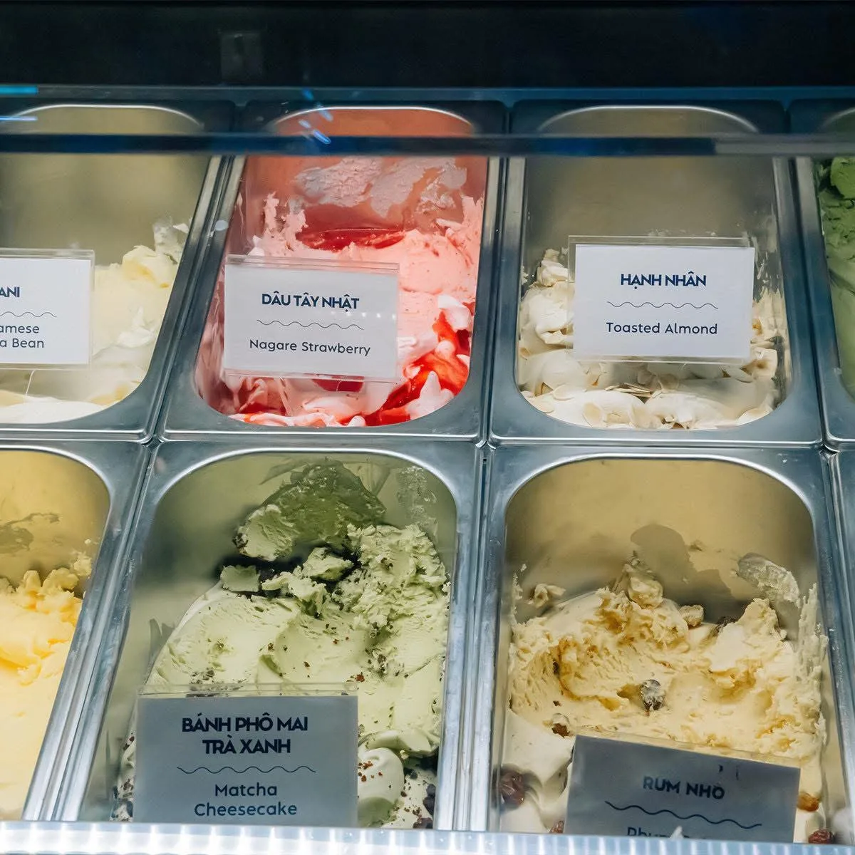 Bliss mang đến một chuẩn mực mới về sự cao cấp trong thế giới Gelato.