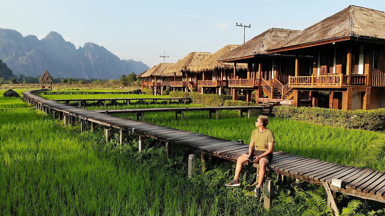 ruộng lúa rộng lớn xanh mướt ở vang viêng